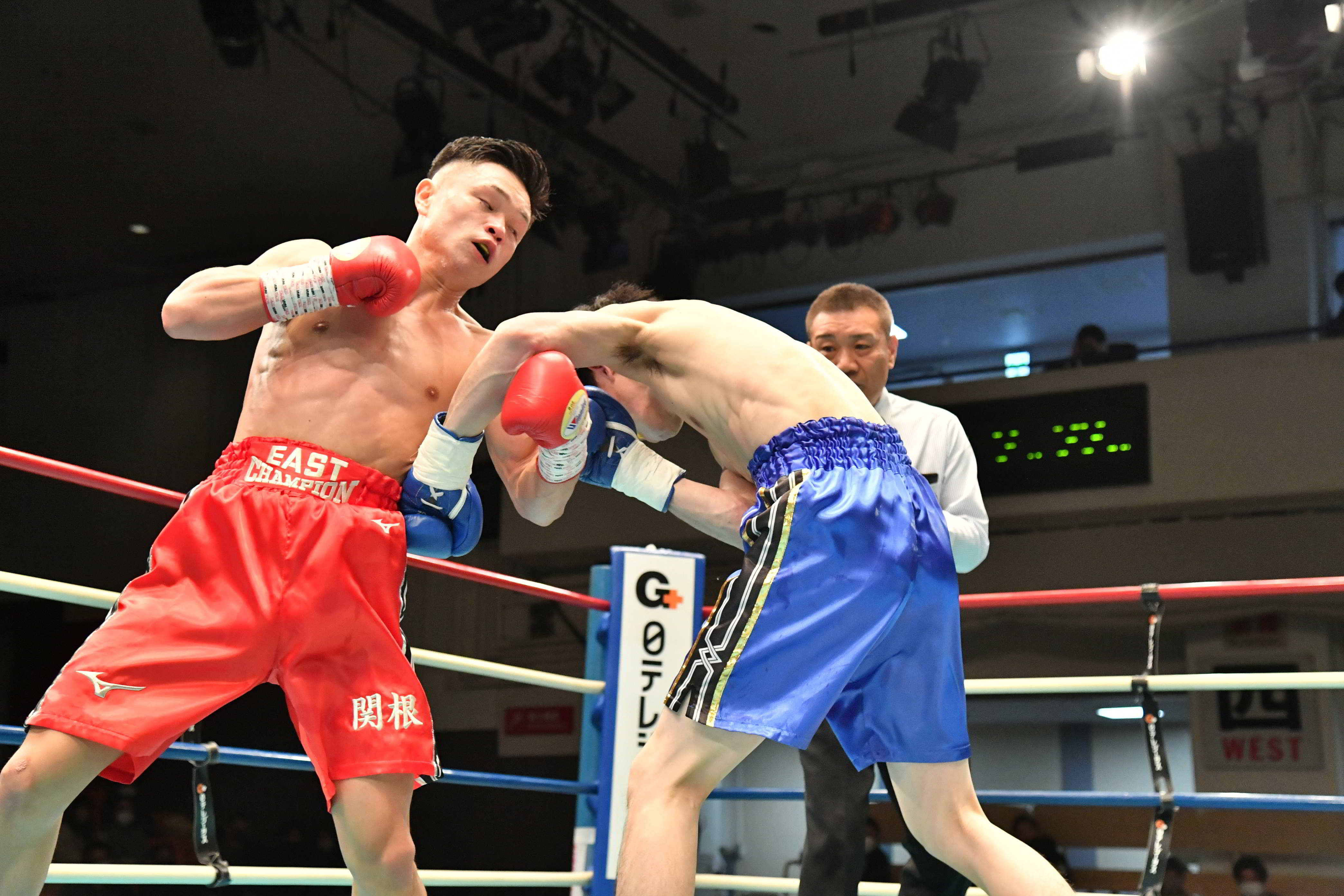 ボクシング】強打の関根がMVP獲得 全日本新人王戦 | BBMスポーツ