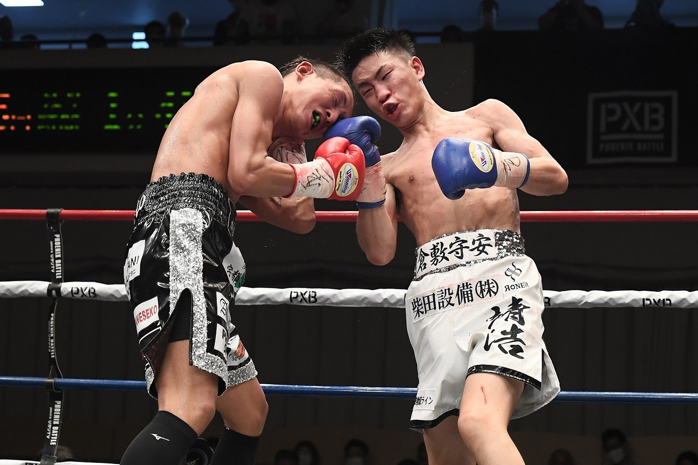 ボクシング】アマチュア10冠、今永虎雅がTKOでプロのスタートを切る