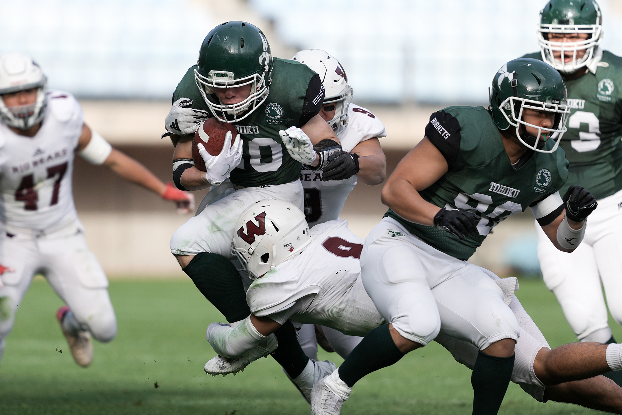 東北大RB植村は奮闘したが、早稲田守備に厳しくマークされた=撮影：北川直樹
