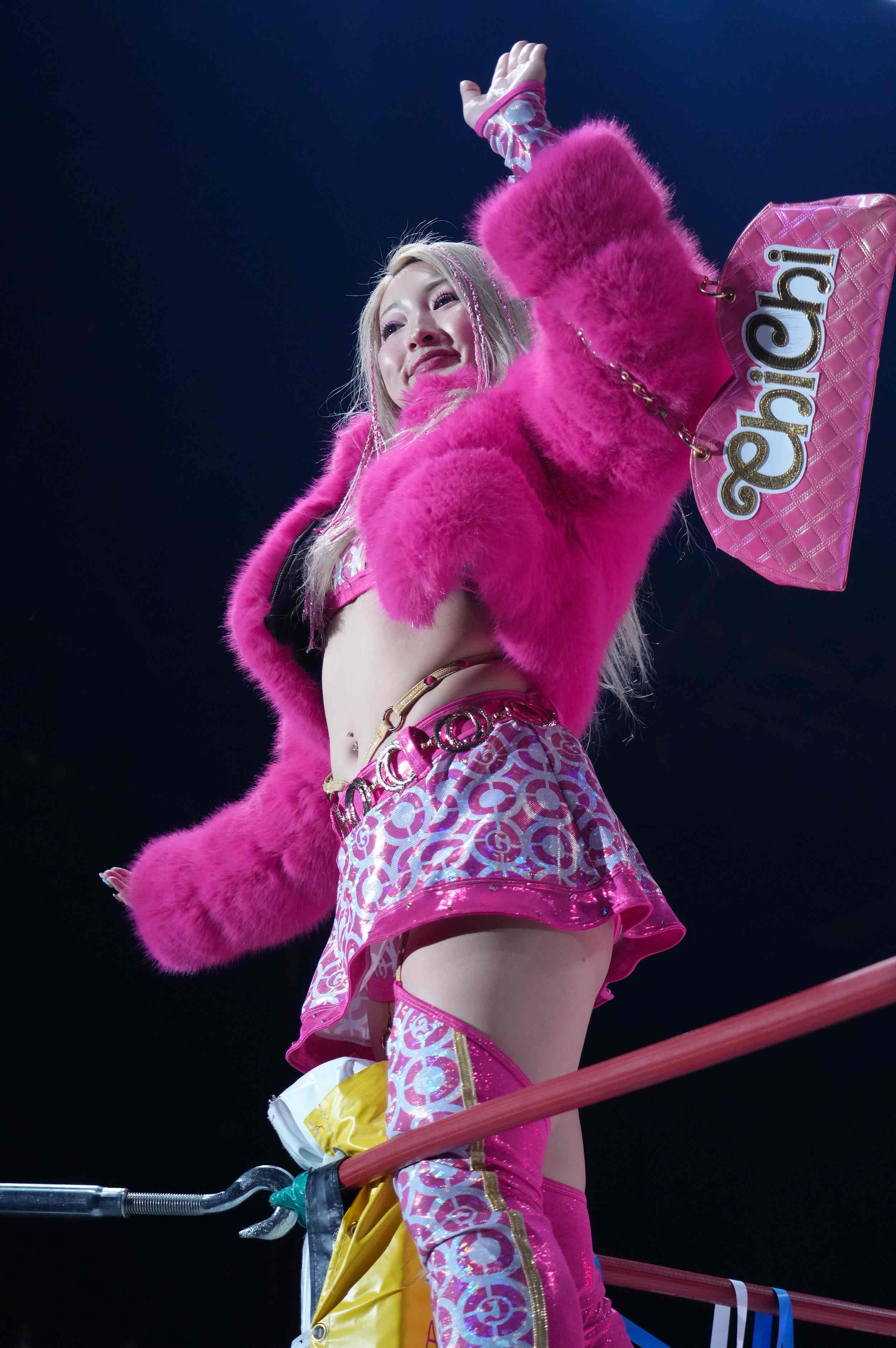 闘うバービー人形