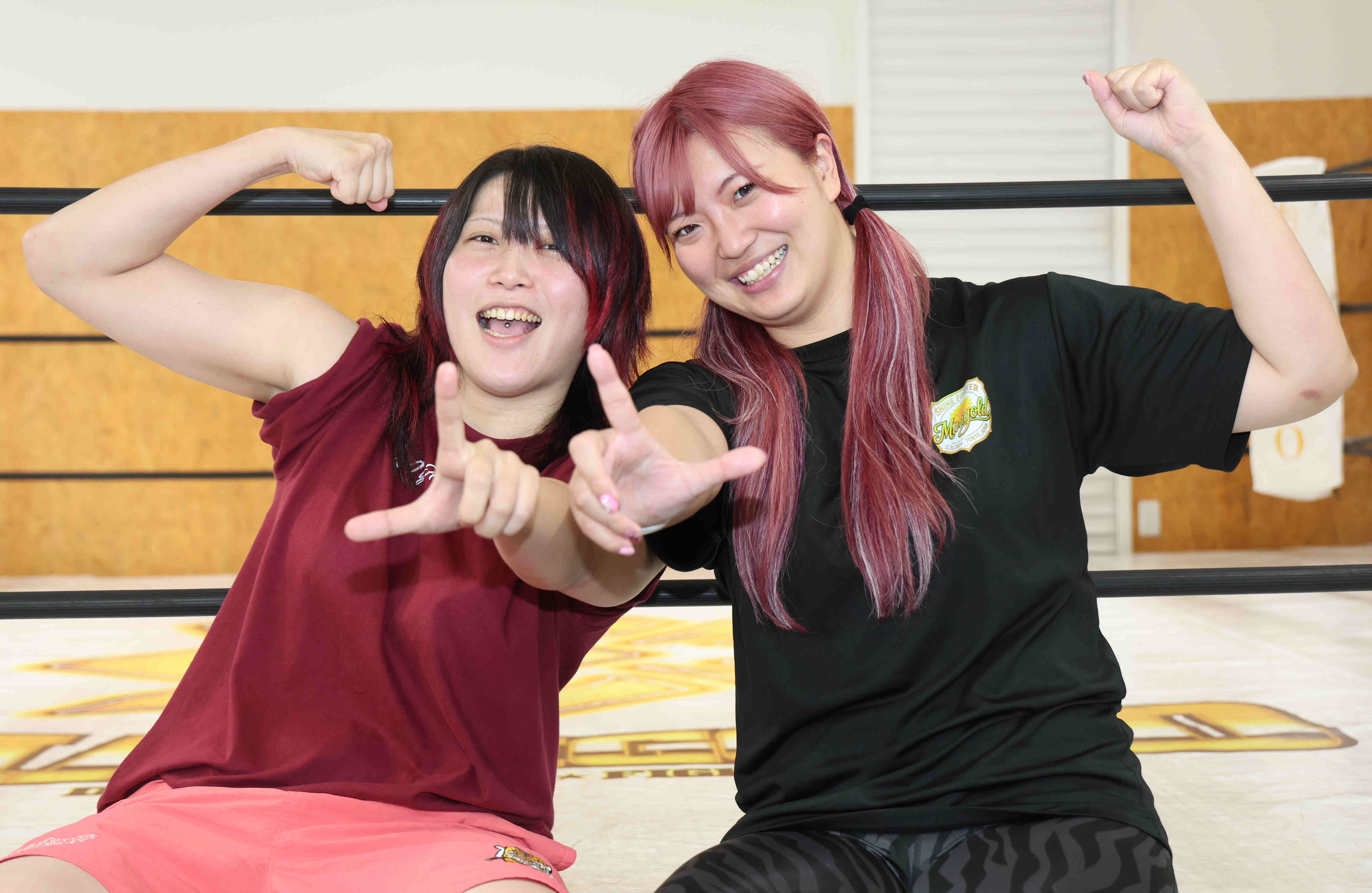 詩美とゴチカ